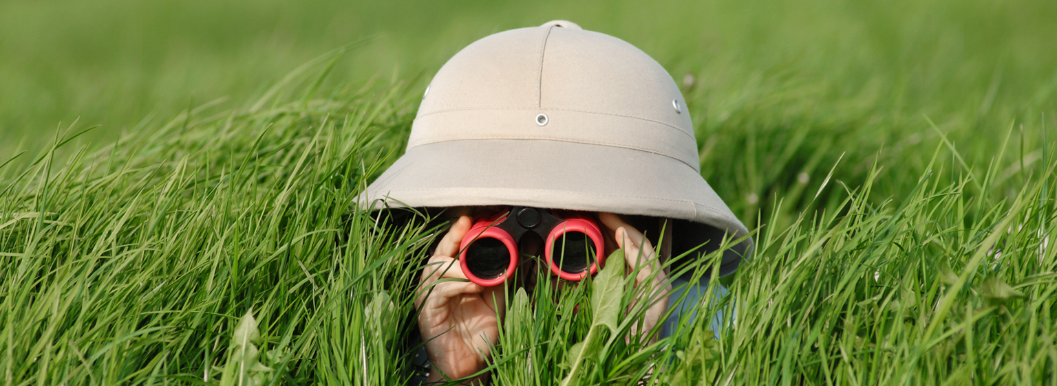 bot with safari hat and binoculars in the grass