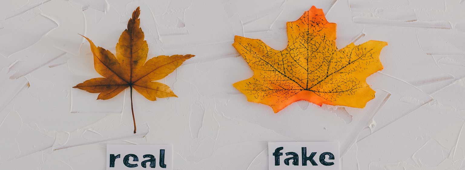 fake vs real lean