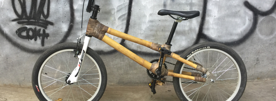 EWABI, Earth Corporations (E-CORPS) &#038; Electric Bamboo Bikes