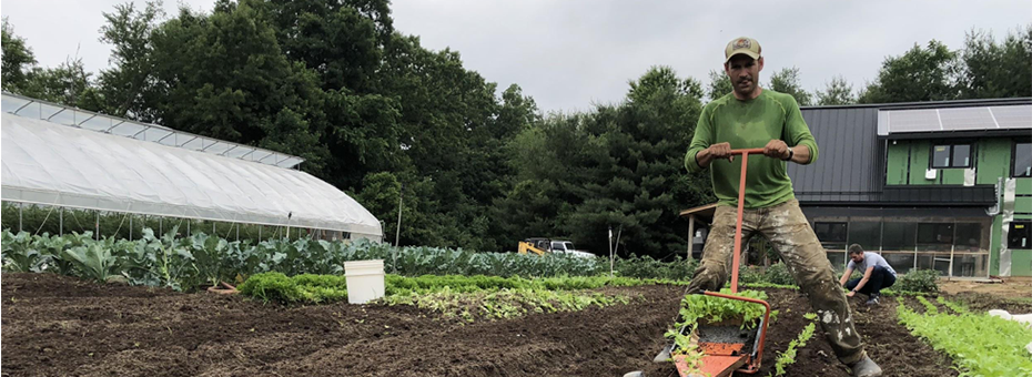 Tending the Roots of Lean with Lean Farmer Ben Hartman