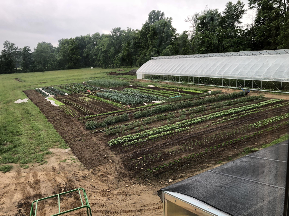 Tending the Roots of Lean with Lean Farmer Ben Hartman