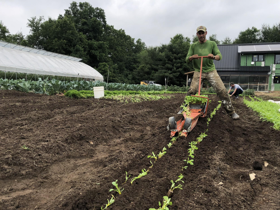 Tending the Roots of Lean with Lean Farmer Ben Hartman
