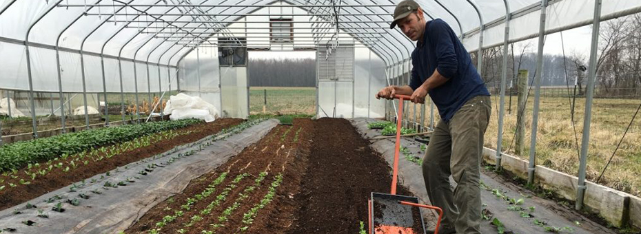 The Lean Farm: Better Food, Productivity, and Profits &#8212; with Less Work