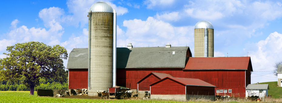 Using Lean to Take Farming to the Next Level in Denmark