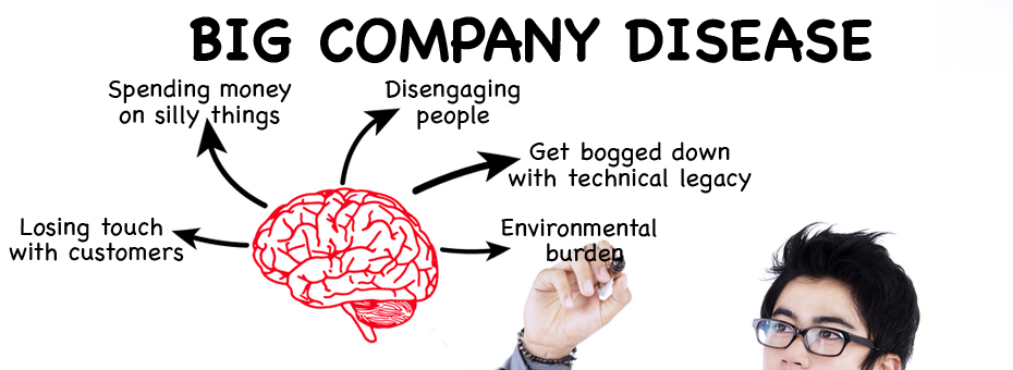 The Five Poisons of Big Company Disease