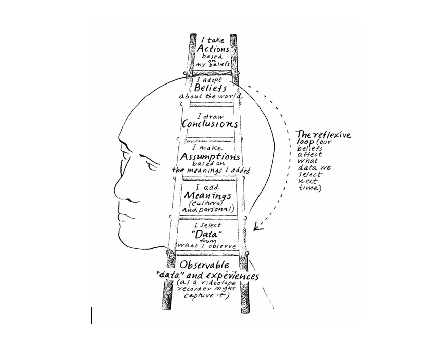 The Ladder of Inference