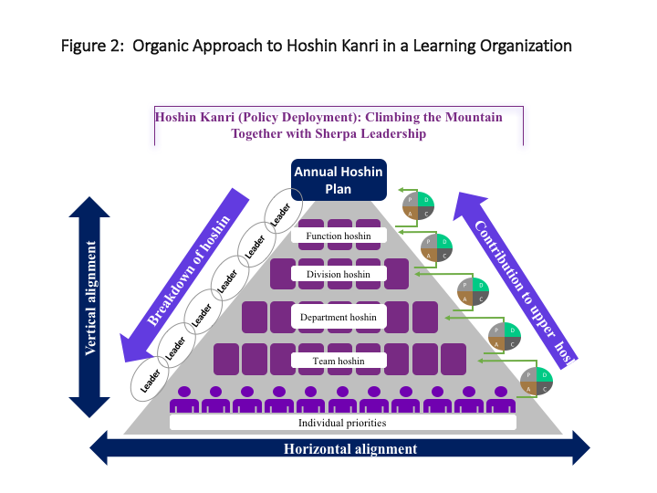 Organic approach to Hoshin Kanri in a Learning Organization