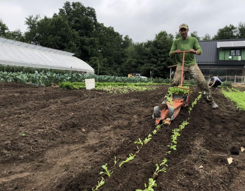 A man pulling a seedling planter in a tilled field. This planter eliminated a lot of waste in the process. 