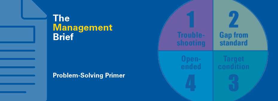 Management Brief: Problem Solving Primer